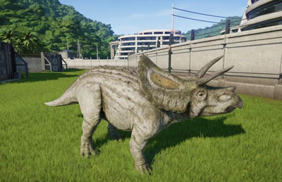世界上头骨最大的恐龙：牛角龙