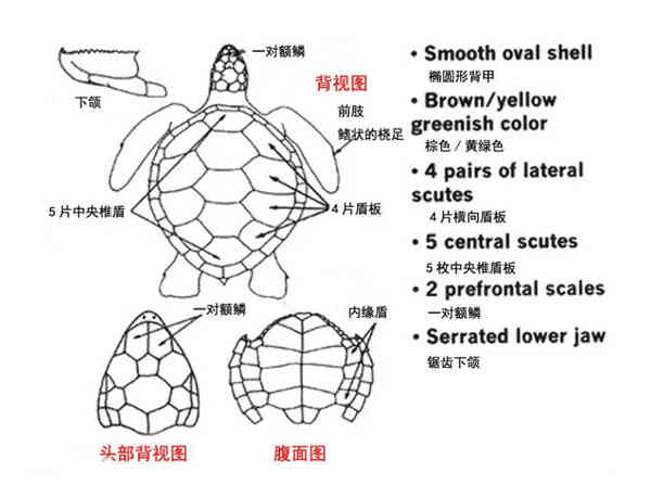 4_九雷图片转换器.jpg