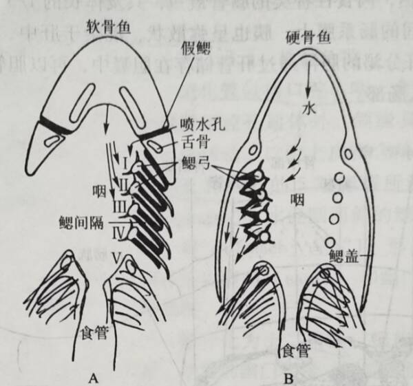 6_九雷图片转换器.jpg