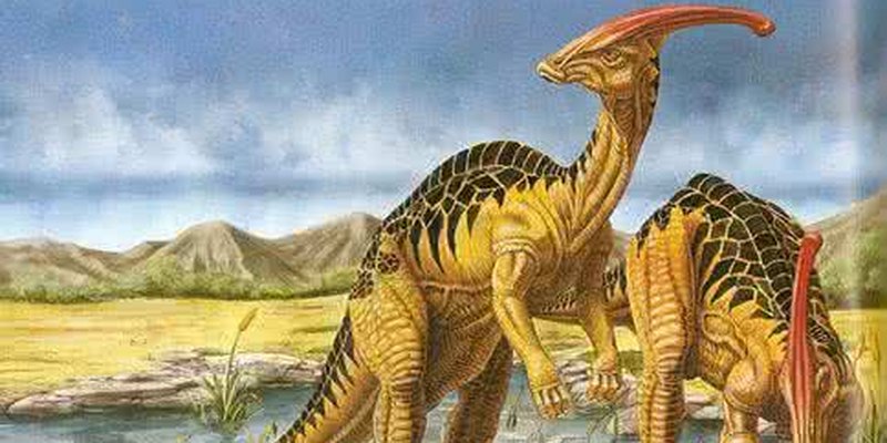恐龙的世界之最_谁才是最聪明的恐龙