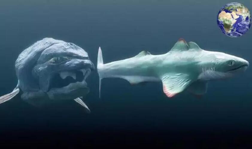 能吞食鲨鱼的海洋巨兽邓氏鱼究竟有多强呢？