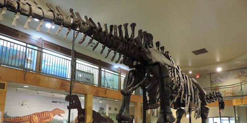 全球最棒的恐龙历史博物馆