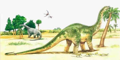 十种体型最大的恐龙_恐龙体型十大排名