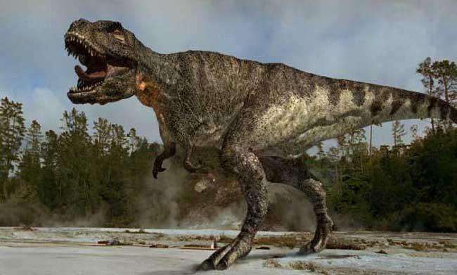 最长的肉食性恐龙图片
