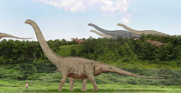 恐龙有多大_恐龙为什么能长那么大？
