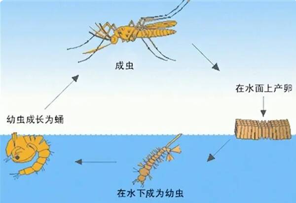 3_九雷图片转换器.jpg