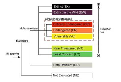 IUCN物种红色名录濒危等级和标准