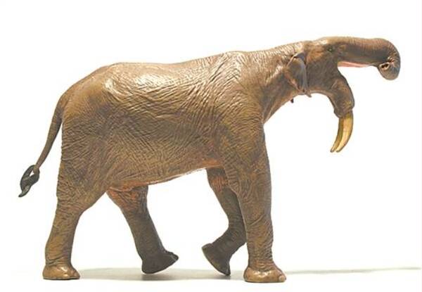 史前“怪”象，现存大象的史前亲戚
