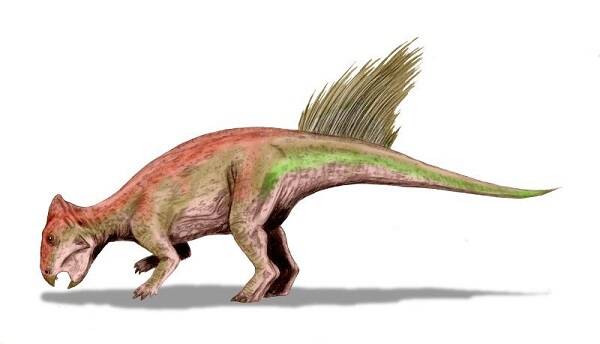 辽宁发现的恐龙化石_辽宁发现的恐龙生存年代排行