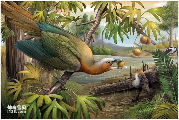 鸟类是如何躲过大灭绝事件的？