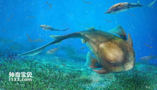 志留纪古海洋中畅游的麒麟鱼(从鱼到人的颌骨演化历程)