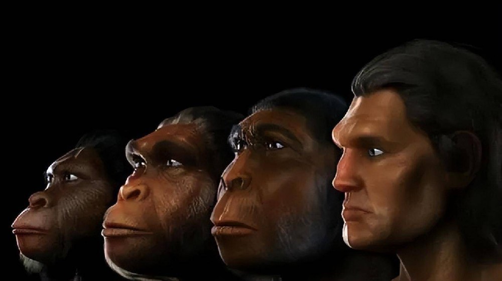 哺乳动物的的起源与演化(第一个人是怎么出现的)