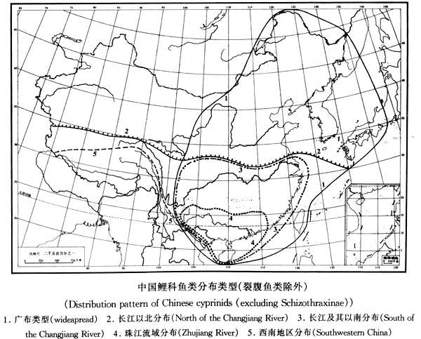 鲤鱼的起源演化及地域分布格局