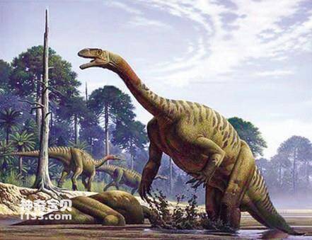 我国第一个被命名的恐龙是什么