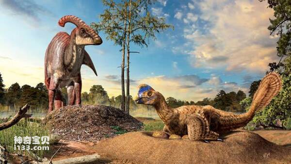 世界上最大的恐龙筑巢地
