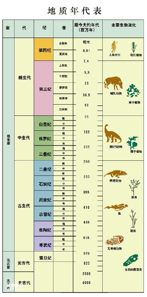 地质年底表全图(主要的生物演化)