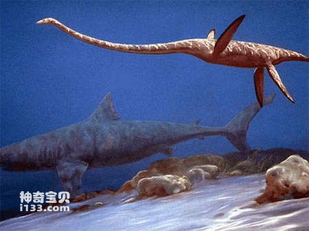 恐龙湾的恐龙及其生物群落的发现