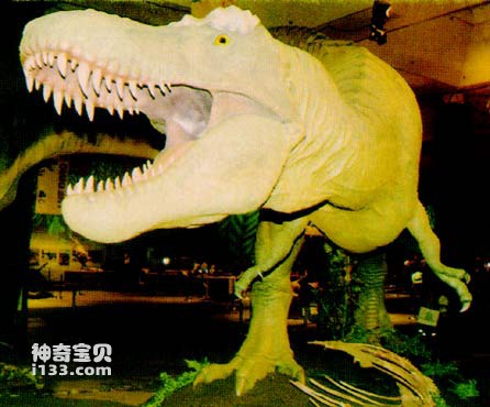 世界上最大的食肉恐龙(不是霸王龙)