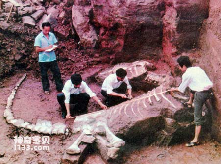 四川自贡大山铺恐龙墓形成的三种理论