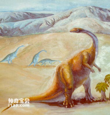 最早的恐龙动物群(环特提斯海恐龙动物群)