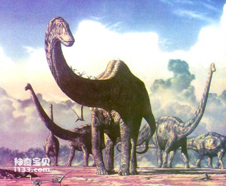 震龙是最大的恐龙(身体有足球场那么大)