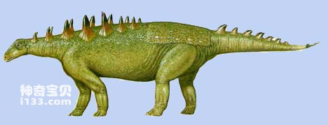 甲龙的体型特征及祖先