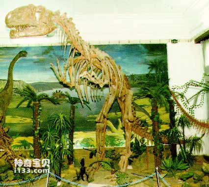 云南禄丰又发现新的恐龙化石地点