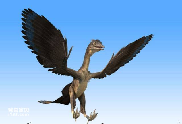 鸟类祖先不是恐龙的新证据