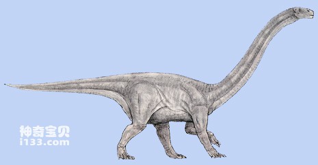 昆明龙的体型特征(最早的蜥脚类恐龙之一)