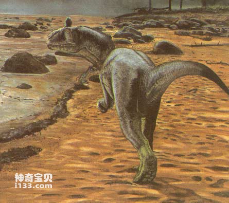 酷龙的体型特征及生活习性(侏罗纪早期的最大食肉者)