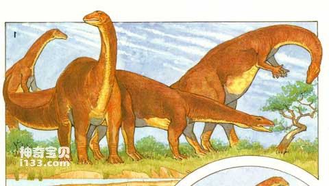 板龙的体型特征及生活习性(最早的素食恐龙)