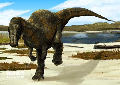 鸭嘴龙的化石产地及体型特征
