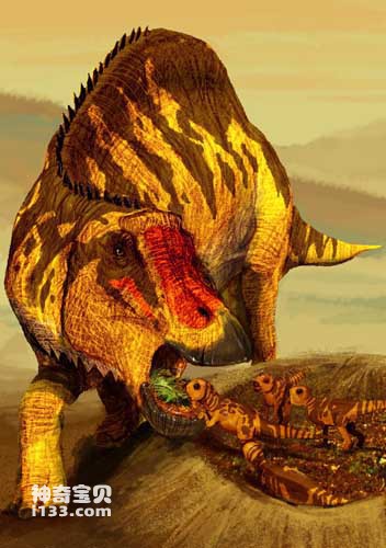 慈母龙的化石产地及体型特征