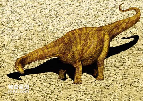 迷惑龙(雷龙)的化石产地及体型特征