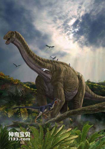 黄河巨龙的化石产地及体型特征