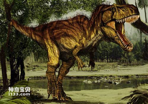 南方巨兽龙的化石产地及体型特征