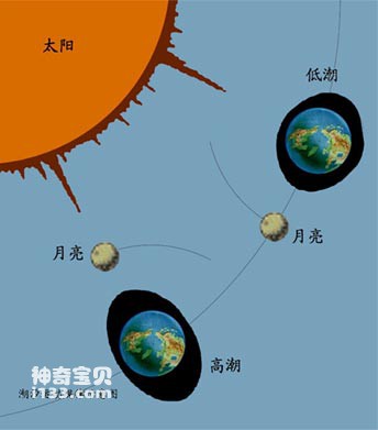 大海的潮汐现象(潮汐运动示意图)