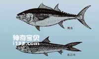 台湾海峡是我国重要渔场之一，鲔鱼和虱目鱼是台湾海峡的主要渔产之一