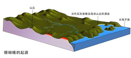 风光绚丽的珊瑚礁海岸