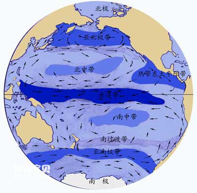 随波逐流的浮游生物