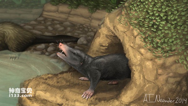 最早的地穴型和树栖型哺乳动物