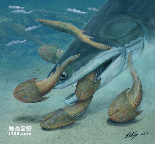 4.23亿年前的钝齿宏颌鱼在云南曲靖发现