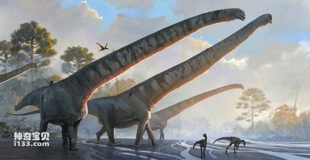 中国发现有史以来脖子最长的恐龙