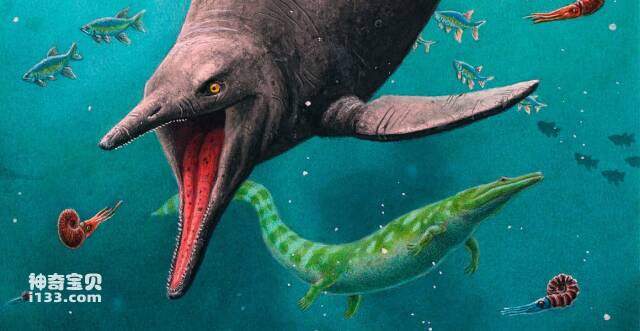 北极圈岛上发现最早的鱼龙化石