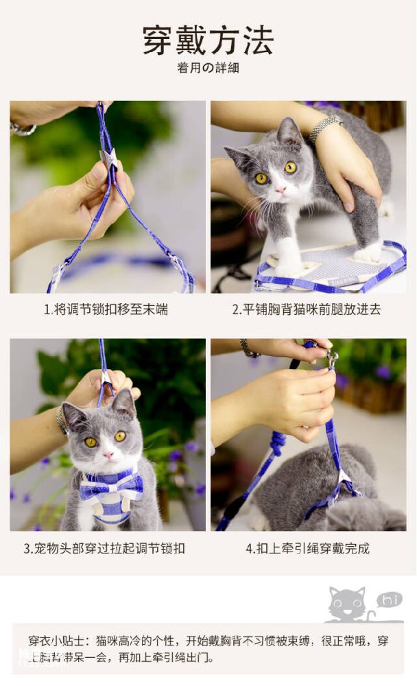 猫绳怎么套示意图