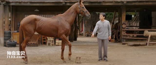 中国古代十大名马排名
