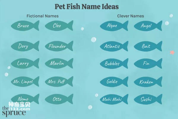 200多个适合您的宠物鱼的好名字（每条鱼都应该有一个适合其个性的名字）