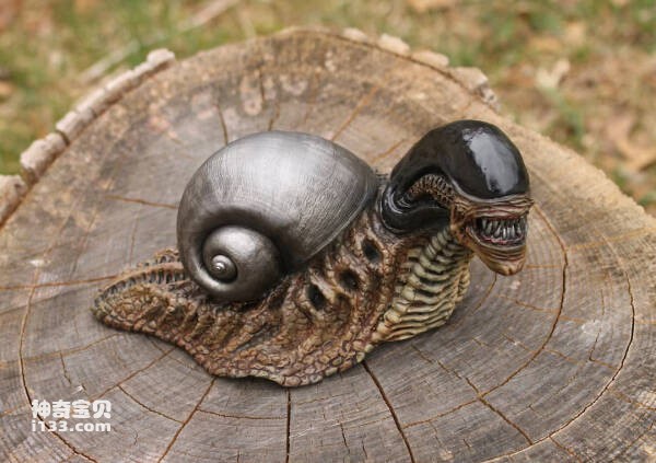 世界上十大最可怕的蜗牛