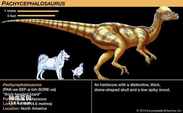 6种令人敬畏的恐龙物种