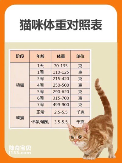 猫体重与食量对照表